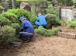草取り 草取り